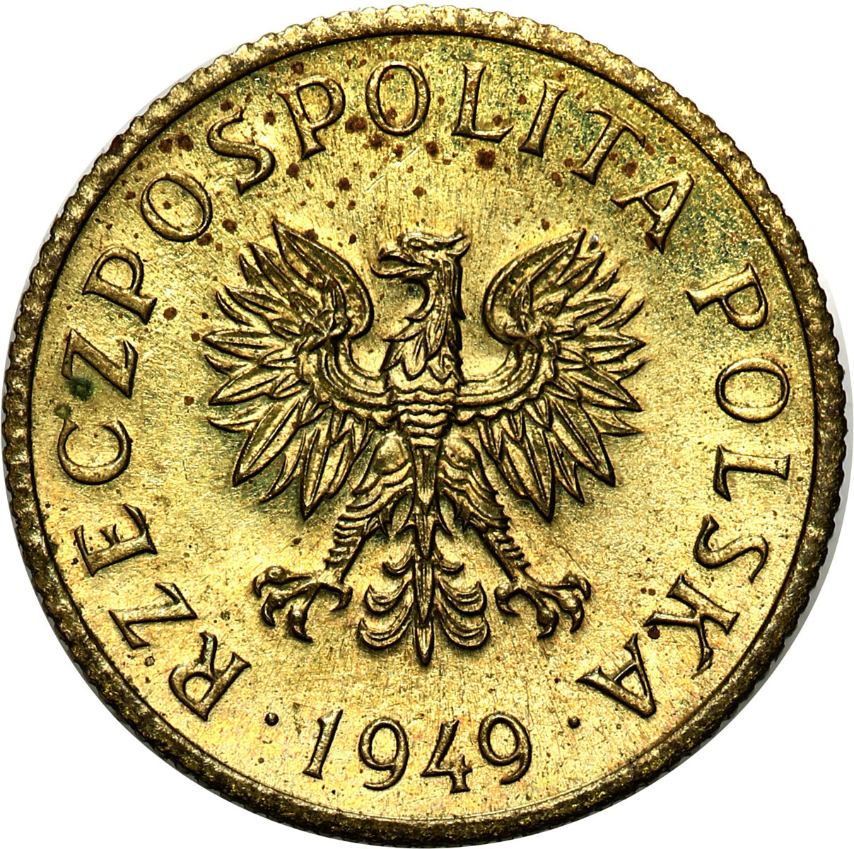 PRL. PRÓBA mosiądz 1 grosz 1949 - NAKŁAD 100 sztuk